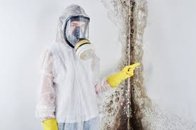  , USA Mold Removal & Remediation Pros